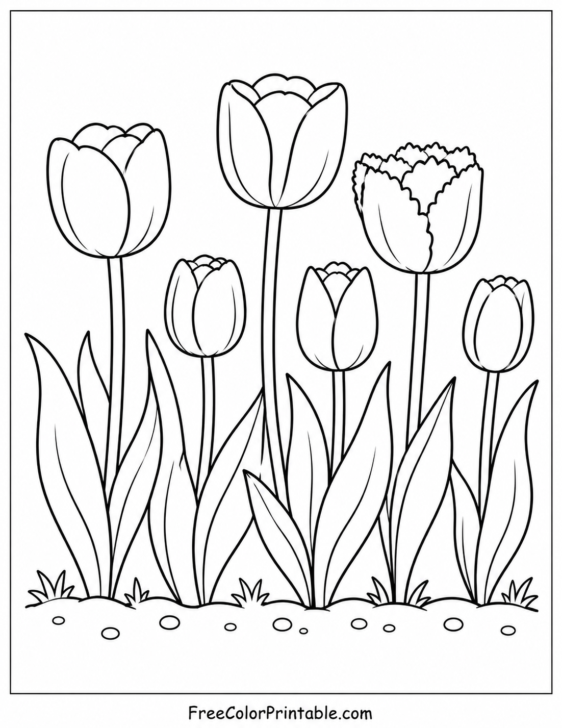 Tulip garden coloring page Coloring Page — Free Printable — free printable coloring page
